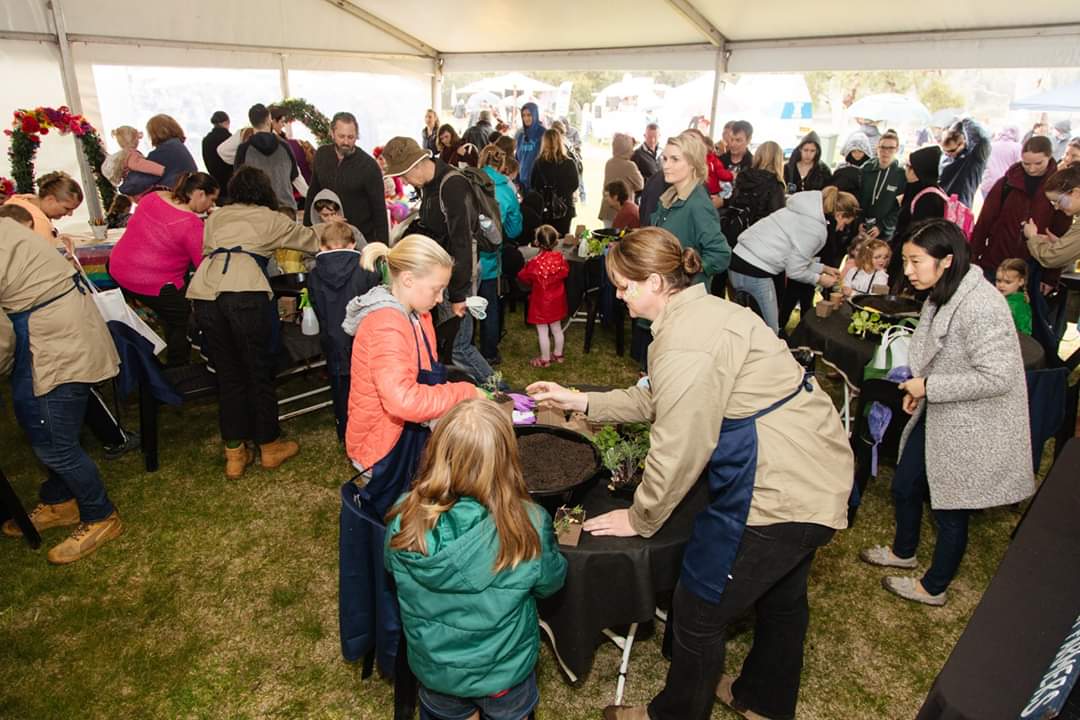 Kids workshop activities - hands-on learning